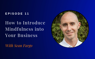 Episode 11: How to Introduce Mindfulness to Your Business or Company w/ Sean Fargo