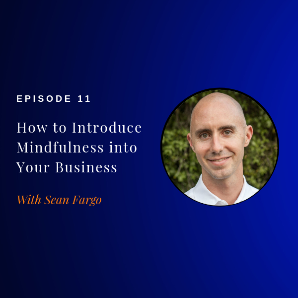 Episode 11: How to Introduce Mindfulness to Your Business or Company w/ Sean Fargo